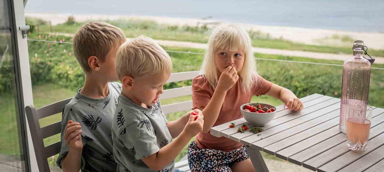 to små drenge og en lille pige spiser jordbær på altanen i et sommerhus