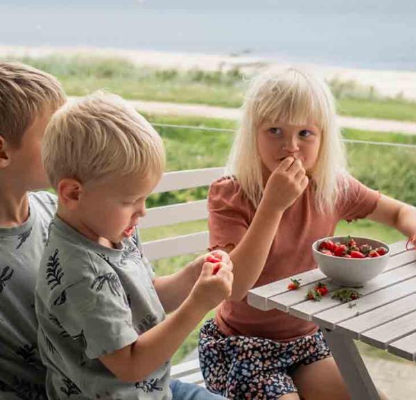 to små drenge og en lille pige spiser jordbær på altanen i et sommerhus