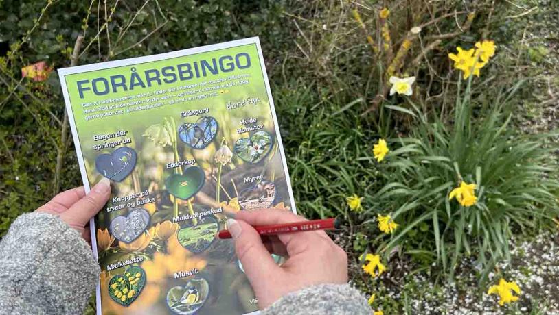 Pige i gang med at udfylde forårsbingo-plade