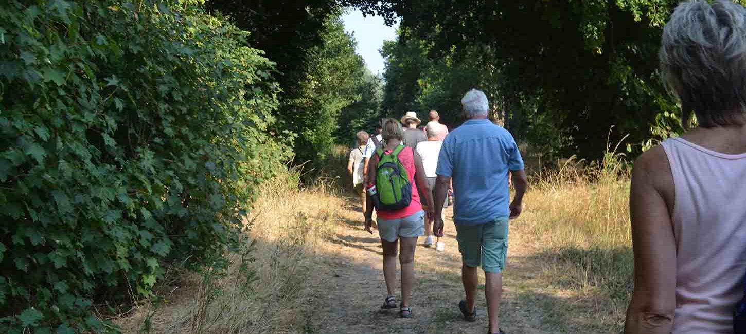 Guidet vandretur på Vigelsø