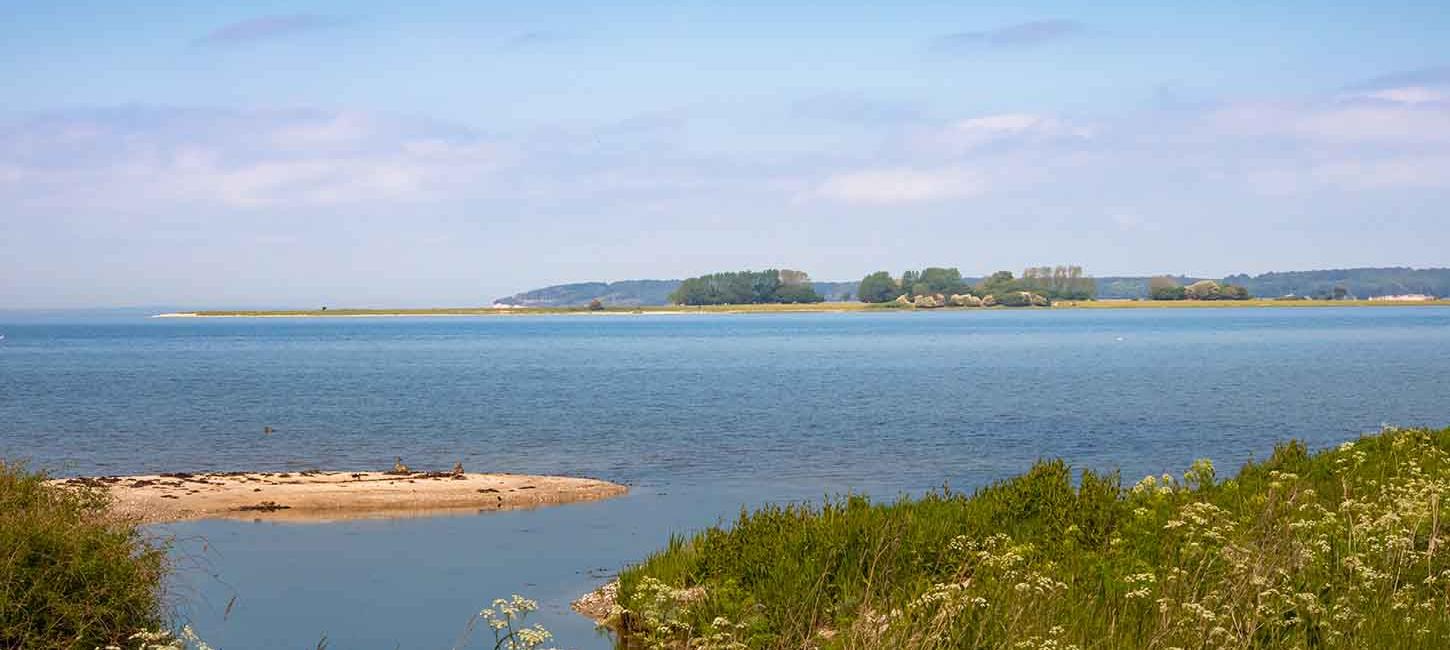 Gyldensteen Strand med udsigt til små holme i vandet og skoven bagved