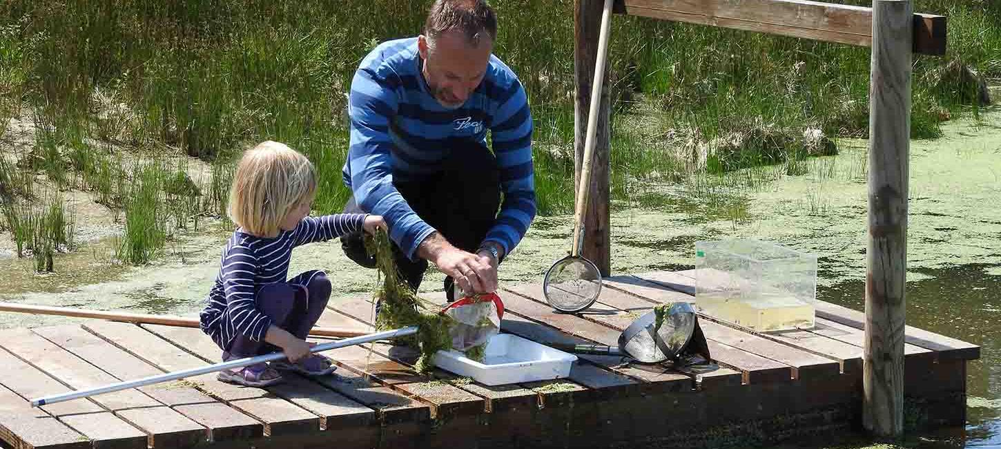 Far og datter udforsker livet under havet ved Gyldensteen Strand