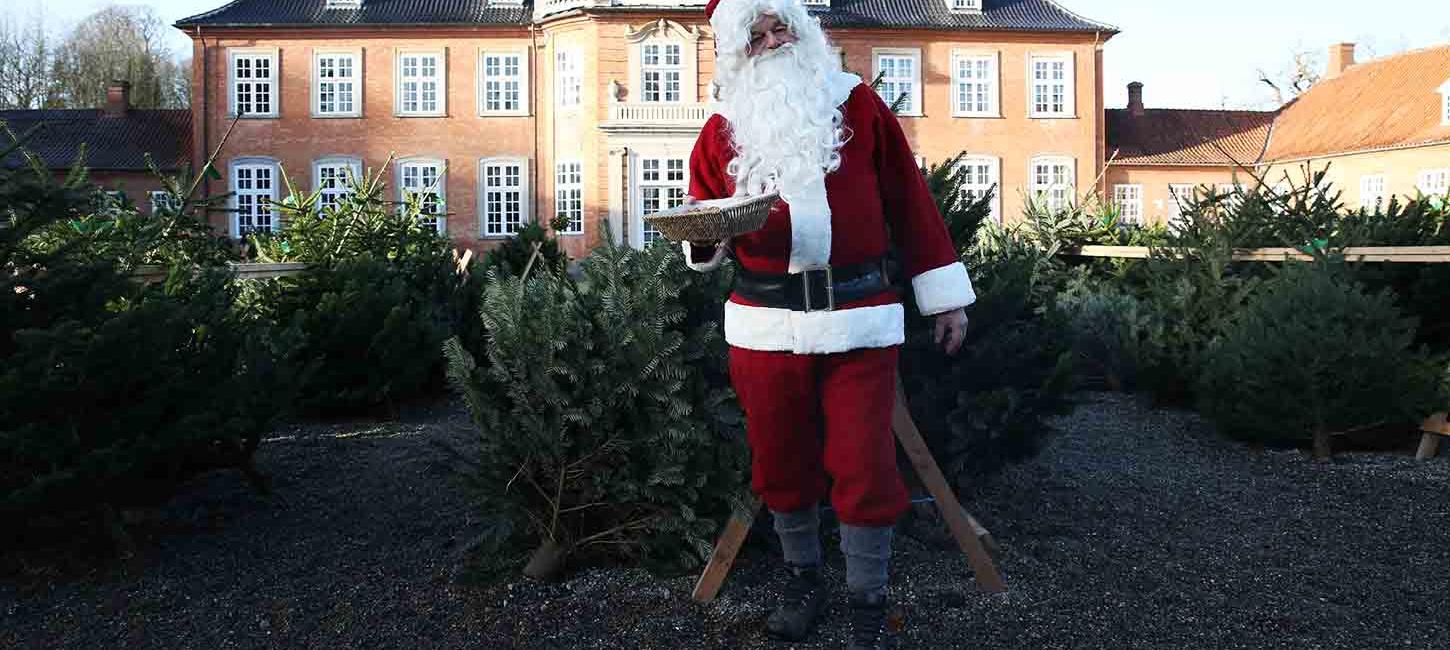 Julemanden byder på pebernødder og juletræer foran Langesø Slot