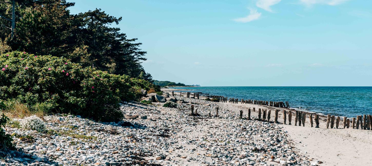 Enebærodde Strand Sommer Landzunge