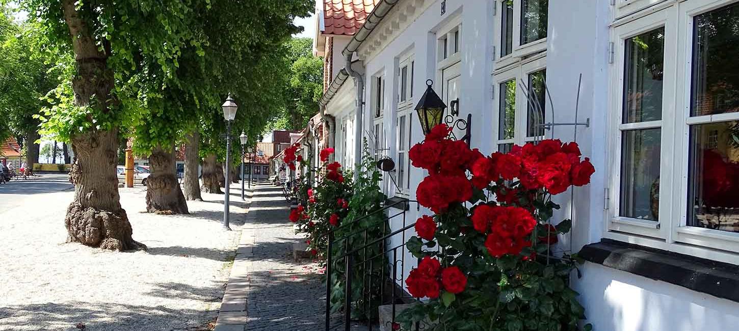 Torvet i Bogense med hyggelige gamle huse og flotte roser
