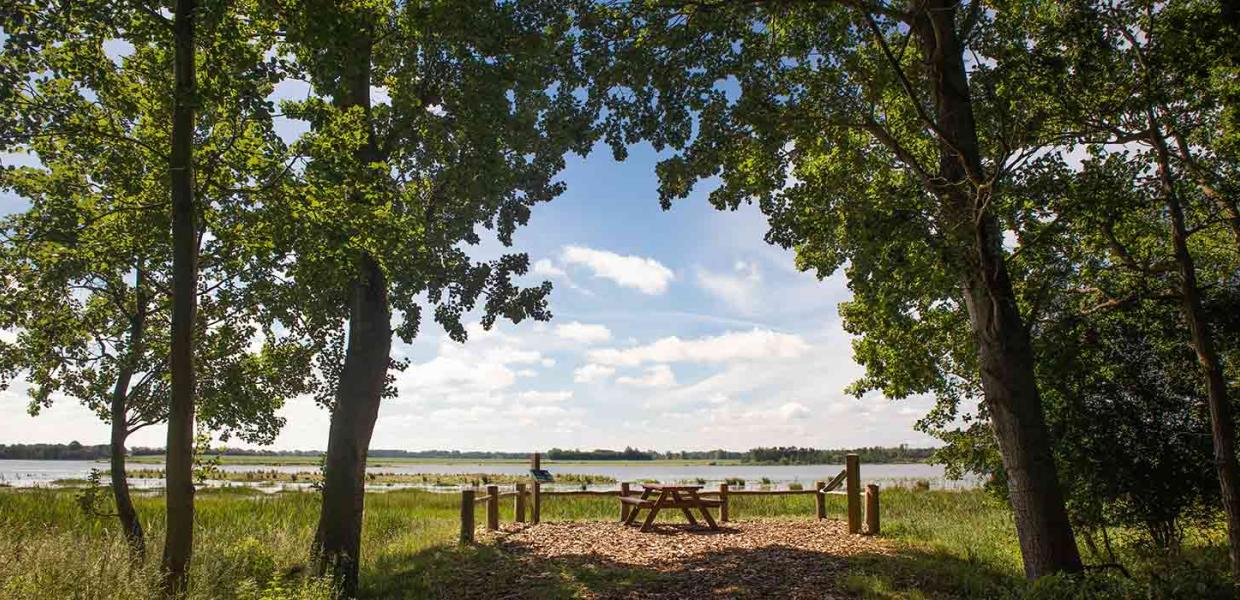 Gyldensteen Strand med picnicsted