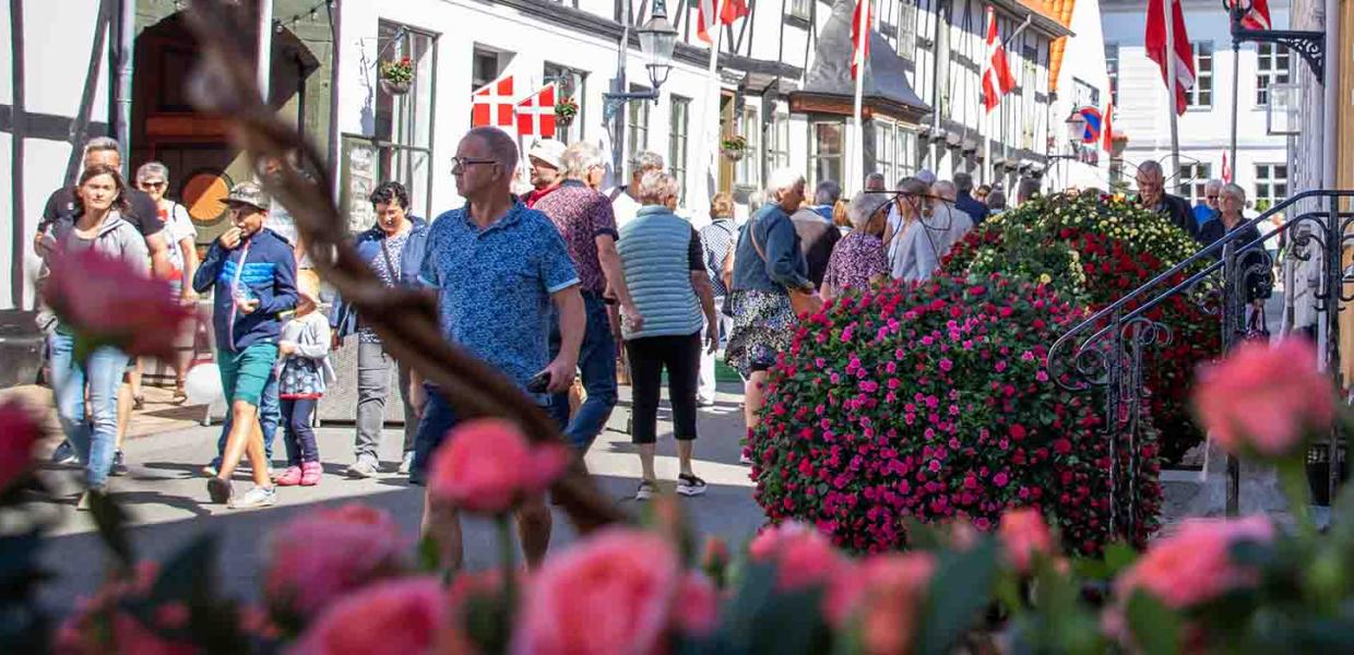 Østergade med roser og rosendekorationer til Rosenfestival