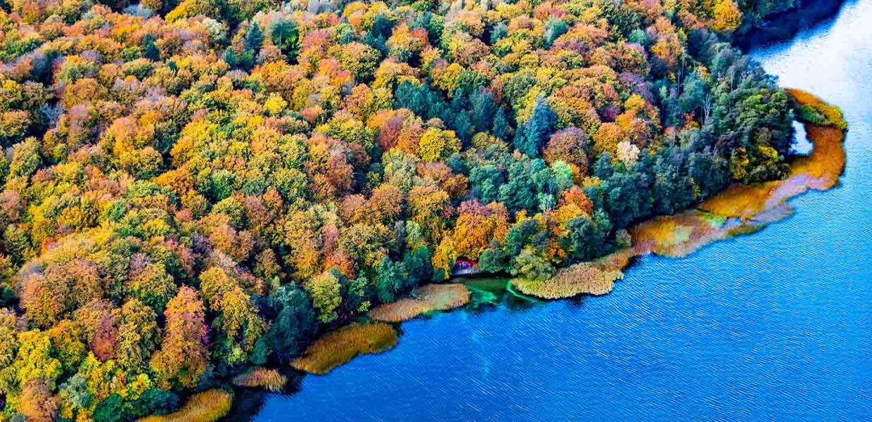 Luftfoto af Furesø til Luftkunst Danmark i Bogense