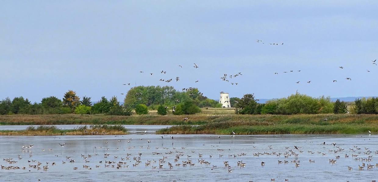Langø Mølle og Gyldensteen Strand