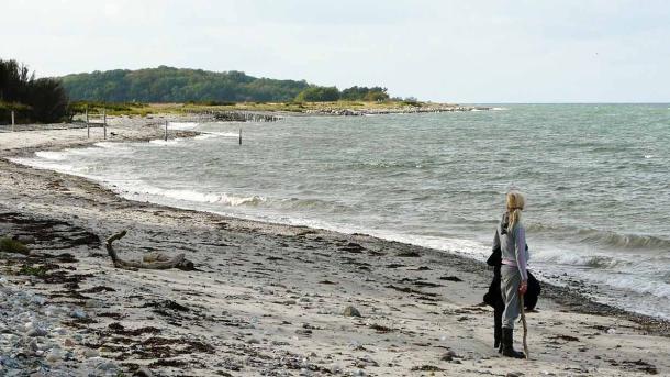 Enebærodde og udsigt til havet