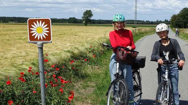 Margueritruten på Nordfyn