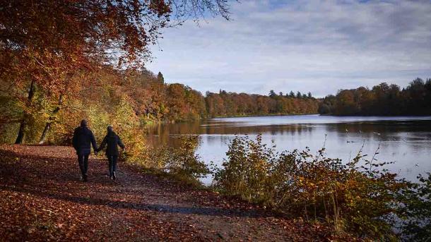 Efterår og gåtur ved Langesø