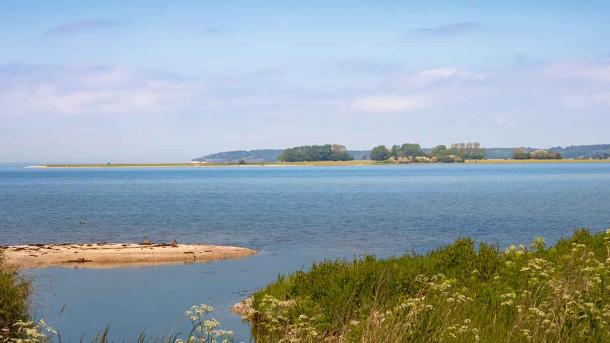 Gyldensteen Strand med udsigt til små holme i vandet og skoven bagved