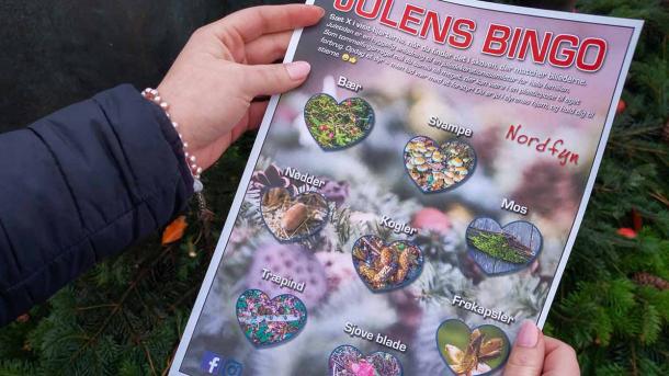 Pige holder jule-naturbingoplade