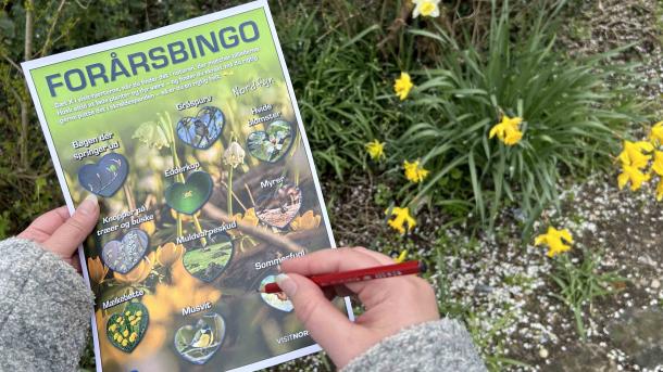 Forårsbingo naturbingo
