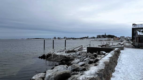 Find ro i naturen - Bogense Søbad