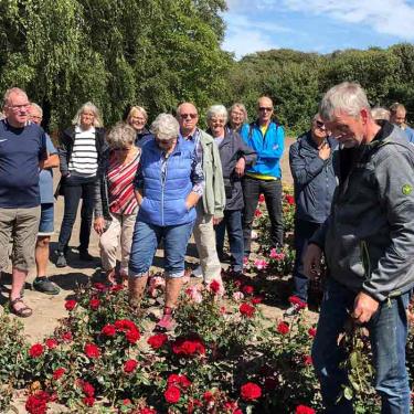 Guidet tur i rosenmarkerne på Grønløkke Planteskole