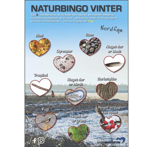 Naturbingo Vinter