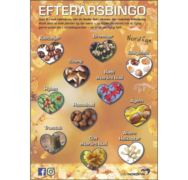 Naturbingo efterår - skattejagt i naturen