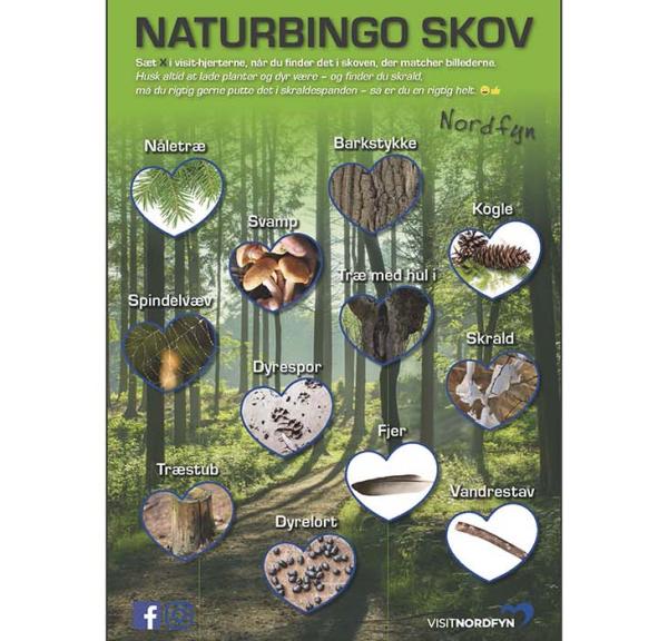 Naturbingo i skoven