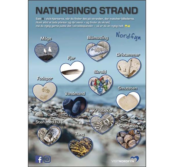 Strandbingo - skattejagt i naturen med bingoplade