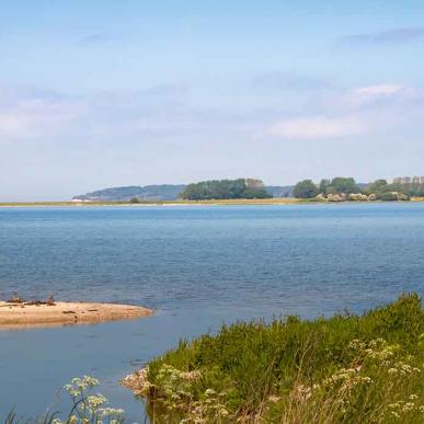 Gyldensteen Strand med udsigt til små holme i vandet og skoven bagved