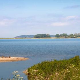 Gyldensteen Strand med udsigt til små holme i vandet og skoven bagved