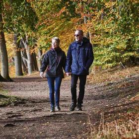 Ældre par går tur i Langesø-skoven i efteråret