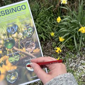 Forårsbingo naturbingo