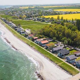 Rapsfeld bei Fuglsang Strand