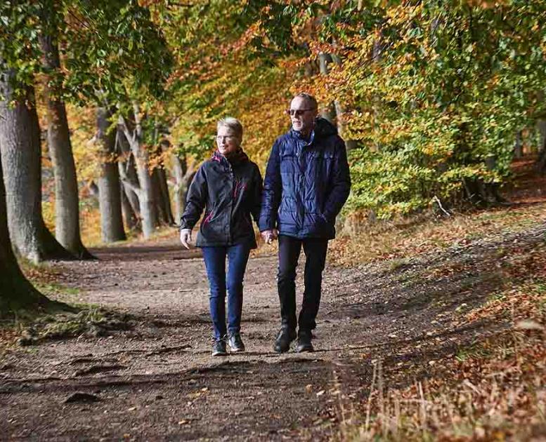Ældre par går tur i Langesø-skoven i efteråret